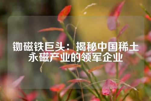 銣磁鐵巨頭：揭秘中國稀土永磁產(chǎn)業(yè)的領(lǐng)軍企業(yè)