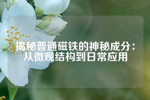 揭秘普通磁鐵的神秘成分：從微觀結構到日常應用