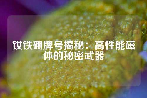 釹鐵硼牌號(hào)揭秘：高性能磁體的秘密武器