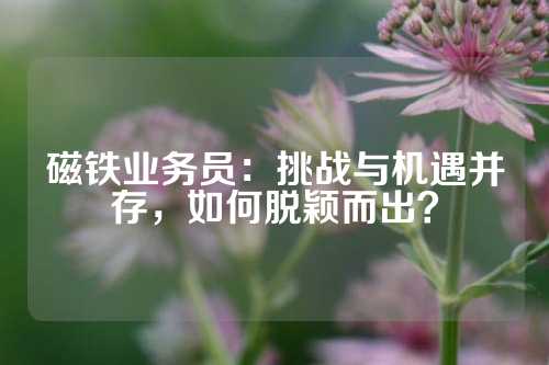 磁鐵業務員：挑戰與機遇并存，如何脫穎而出？