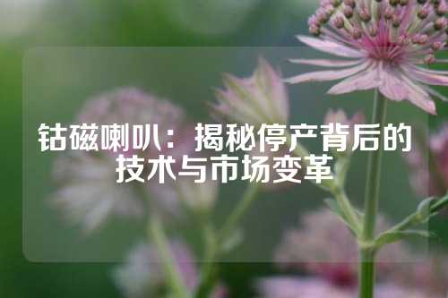 鈷磁喇叭：揭秘停產(chǎn)背后的技術(shù)與市場(chǎng)變革