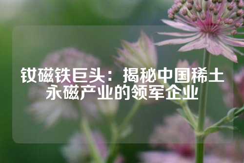 釹磁鐵巨頭：揭秘中國稀土永磁產業的領軍企業