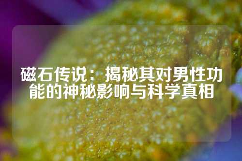 磁石傳說：揭秘其對男性功能的神秘影響與科學真相