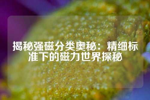 揭秘強磁分類奧秘：精細標準下的磁力世界探秘