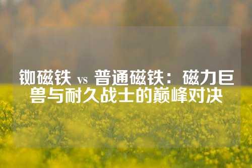 銣磁鐵 vs 普通磁鐵：磁力巨獸與耐久戰士的巔峰對決