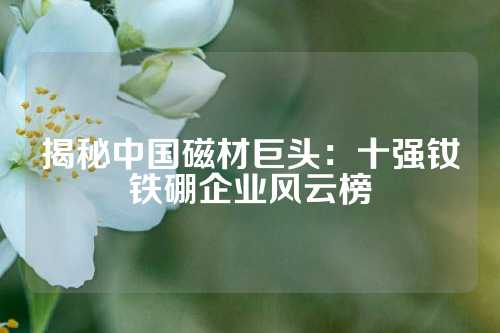 揭秘中國磁材巨頭：十強釹鐵硼企業(yè)風(fēng)云榜