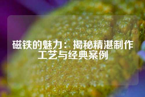 磁鐵的魅力：揭秘精湛制作工藝與經典案例