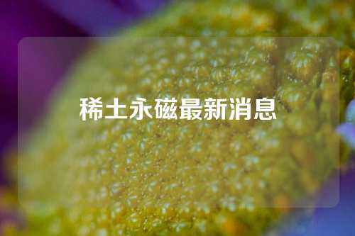 稀土永磁最新消息