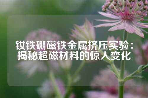 釹鐵硼磁鐵金屬擠壓實驗：揭秘超磁材料的驚人變化