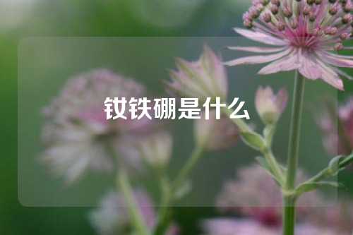 釹鐵硼是什么