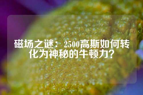 磁場之謎：2500高斯如何轉(zhuǎn)化為神秘的牛頓力？