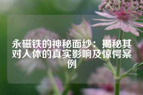 永磁鐵的神秘面紗：揭秘其對人體的真實影響及驚愕案例