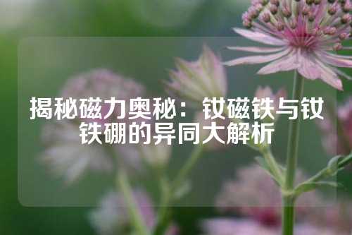 揭秘磁力奧秘：釹磁鐵與釹鐵硼的異同大解析