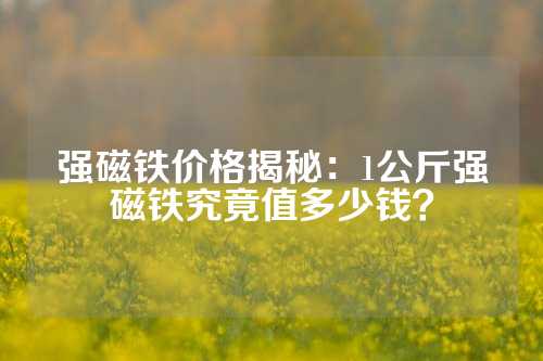 強磁鐵價格揭秘：1公斤強磁鐵究竟值多少錢？