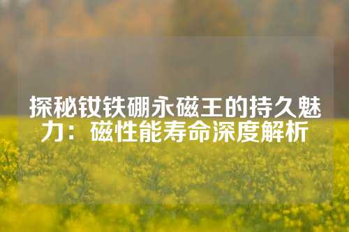 探秘釹鐵硼永磁王的持久魅力：磁性能壽命深度解析