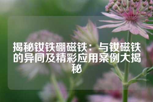 揭秘釹鐵硼磁鐵：與釹磁鐵的異同及精彩應用案例大揭秘