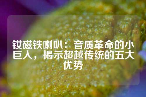 釹磁鐵喇叭：音質革命的小巨人，揭示超越傳統的五大優勢