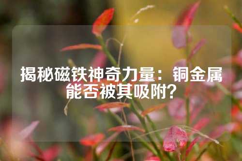 揭秘磁鐵神奇力量：銅金屬能否被其吸附？