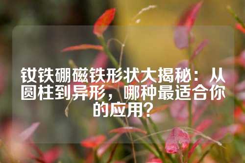 釹鐵硼磁鐵形狀大揭秘：從圓柱到異形，哪種最適合你的應用？