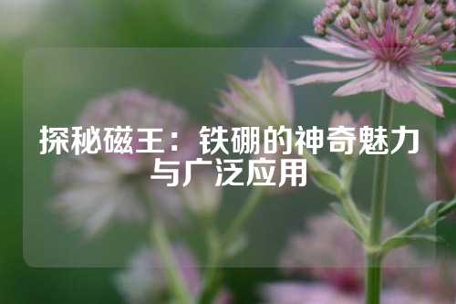 探秘磁王：鐵硼的神奇魅力與廣泛應用