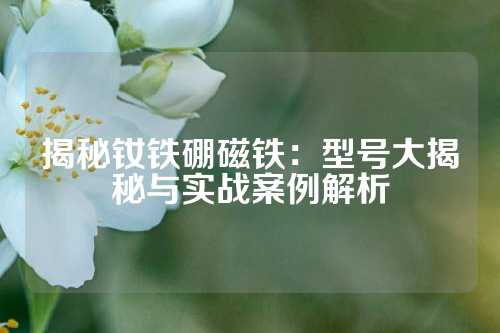 揭秘釹鐵硼磁鐵：型號大揭秘與實戰案例解析