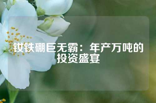 釹鐵硼巨無(wú)霸：年產(chǎn)萬(wàn)噸的投資盛宴