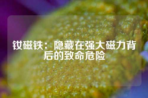 釹磁鐵：隱藏在強大磁力背后的致命危險