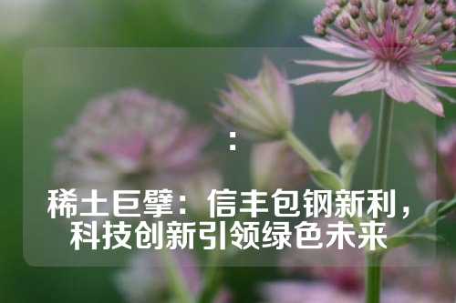 ：

稀土巨擘：信豐包鋼新利，科技創新引領綠色未來