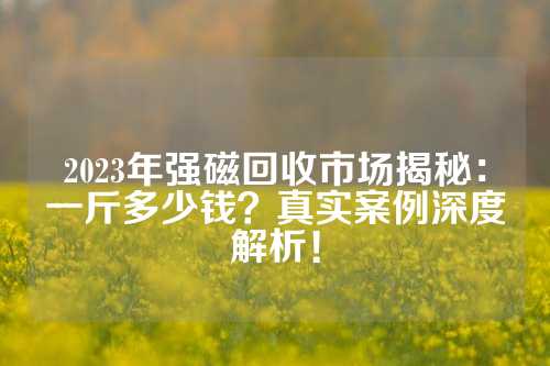 2023年強(qiáng)磁回收市場(chǎng)揭秘：一斤多少錢？真實(shí)案例深度解析！