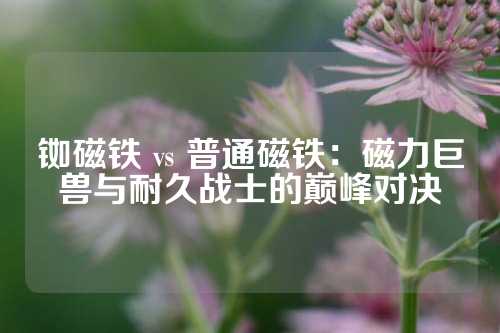 銣磁鐵 vs 普通磁鐵：磁力巨獸與耐久戰士的巔峰對決