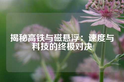 揭秘高鐵與磁懸?。核俣扰c科技的終極對決