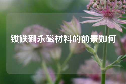 釹鐵硼永磁材料的前景如何