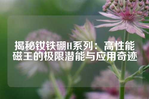 揭秘釹鐵硼H系列：高性能磁王的極限潛能與應用奇跡