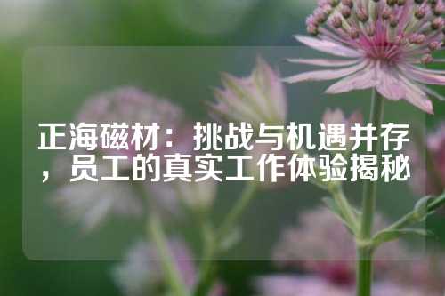 正海磁材：挑戰與機遇并存，員工的真實工作體驗揭秘