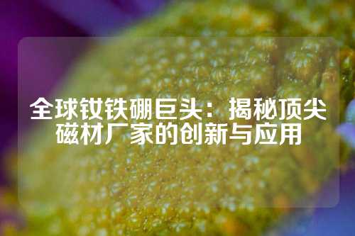 全球釹鐵硼巨頭：揭秘頂尖磁材廠家的創(chuàng)新與應(yīng)用