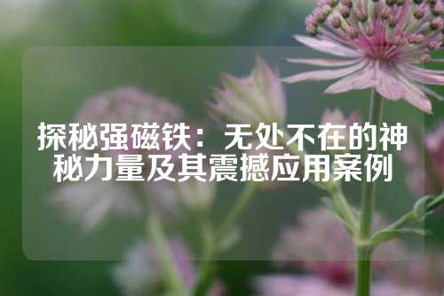 探秘強磁鐵：無處不在的神秘力量及其震撼應(yīng)用案例