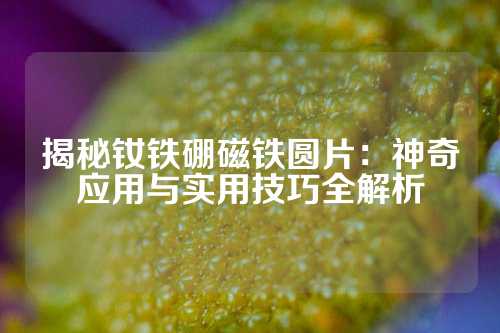 揭秘釹鐵硼磁鐵圓片：神奇應(yīng)用與實用技巧全解析