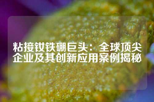 粘接釹鐵硼巨頭：全球頂尖企業及其創新應用案例揭秘