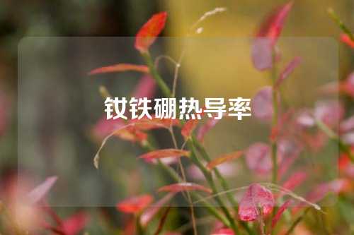 釹鐵硼熱導(dǎo)率