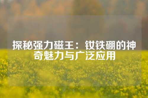 探秘強力磁王：釹鐵硼的神奇魅力與廣泛應(yīng)用