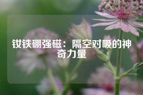 釹鐵硼強(qiáng)磁：隔空對(duì)吸的神奇力量