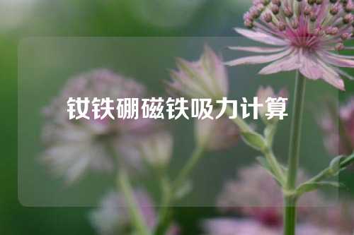 釹鐵硼磁鐵吸力計(jì)算