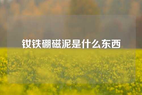 釹鐵硼磁泥是什么東西