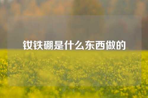 釹鐵硼是什么東西做的