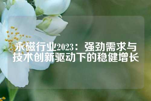 永磁行業(yè)2023：強(qiáng)勁需求與技術(shù)創(chuàng)新驅(qū)動(dòng)下的穩(wěn)健增長(zhǎng)