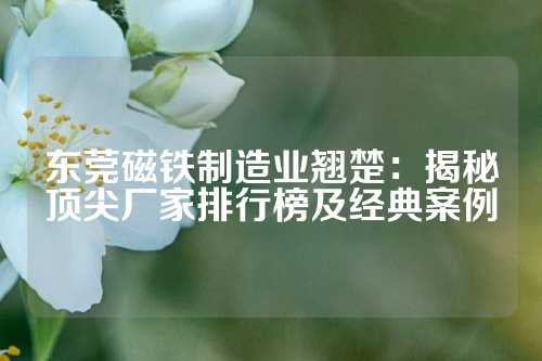 東莞磁鐵制造業(yè)翹楚：揭秘頂尖廠家排行榜及經(jīng)典案例