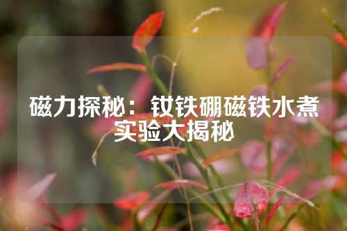 磁力探秘：釹鐵硼磁鐵水煮實驗大揭秘