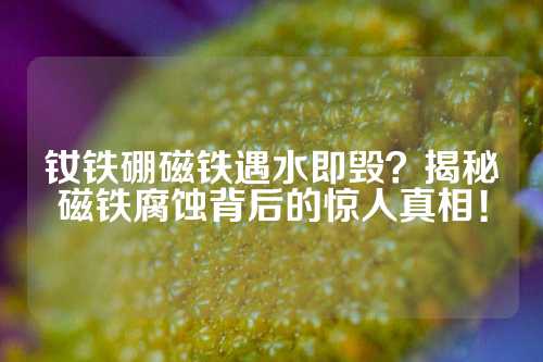 釹鐵硼磁鐵遇水即毀？揭秘磁鐵腐蝕背后的驚人真相！