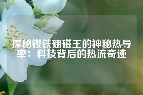 探秘釹鐵硼磁王的神秘?zé)釋?dǎo)率：科技背后的熱流奇跡