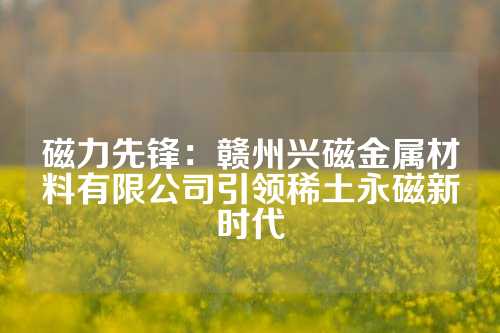 磁力先鋒：贛州興磁金屬材料有限公司引領(lǐng)稀土永磁新時代